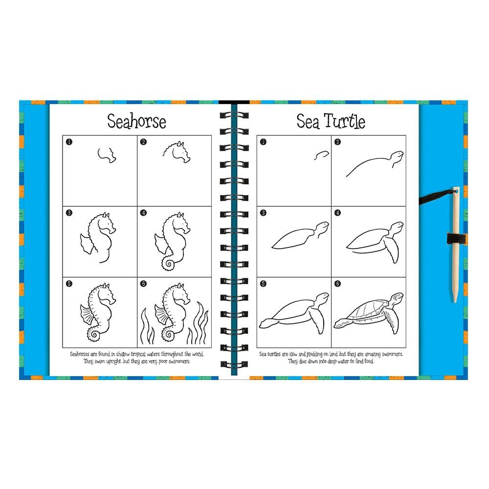 Scratch And Draw - Ocean Animals Çocuk Kitapları Uzmanı - Children's Books Expert