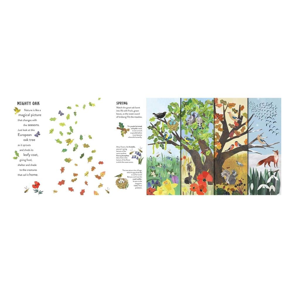 Seasons Çocuk Kitapları Uzmanı - Children's Books Expert