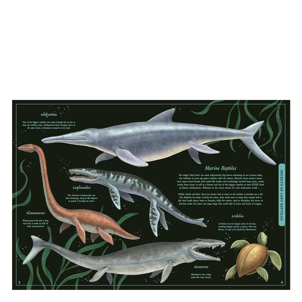 Secret Stories of Lost Beasts Çocuk Kitapları Uzmanı - Children's Books Expert
