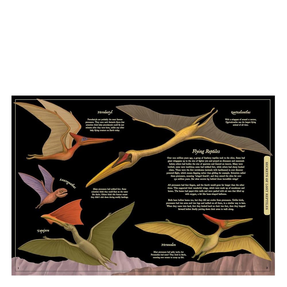 Secret Stories of Lost Beasts Çocuk Kitapları Uzmanı - Children's Books Expert