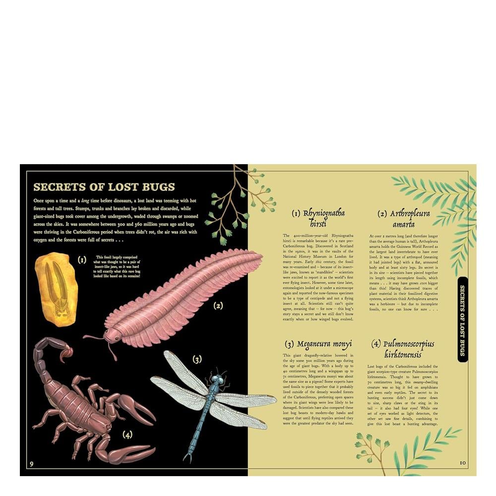 Secret Stories of Lost Beasts Çocuk Kitapları Uzmanı - Children's Books Expert