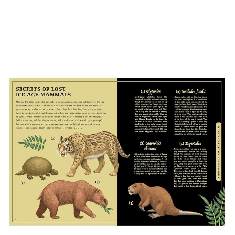 Secret Stories of Lost Beasts Çocuk Kitapları Uzmanı - Children's Books Expert