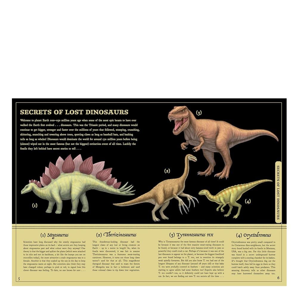 Secret Stories of Lost Beasts Çocuk Kitapları Uzmanı - Children's Books Expert
