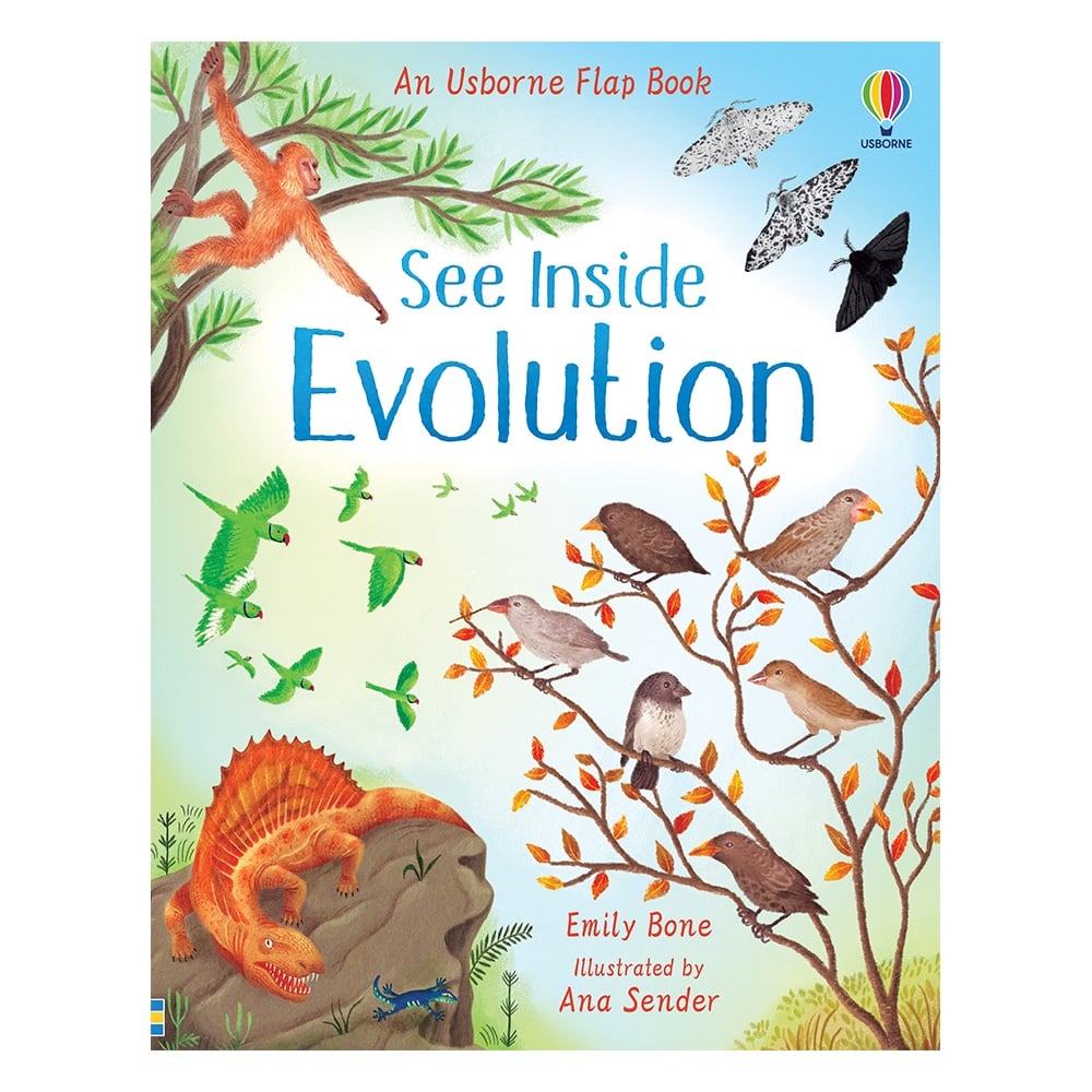 SEE INSIDE EVOLUTION Çocuk Kitapları Uzmanı - Children's Books Expert