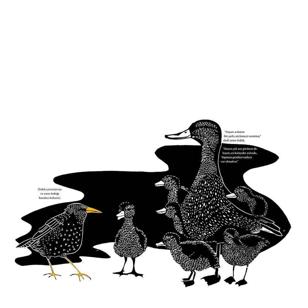 Sığırcığın Şarkısı Çocuk Kitapları Uzmanı - Children's Books Expert
