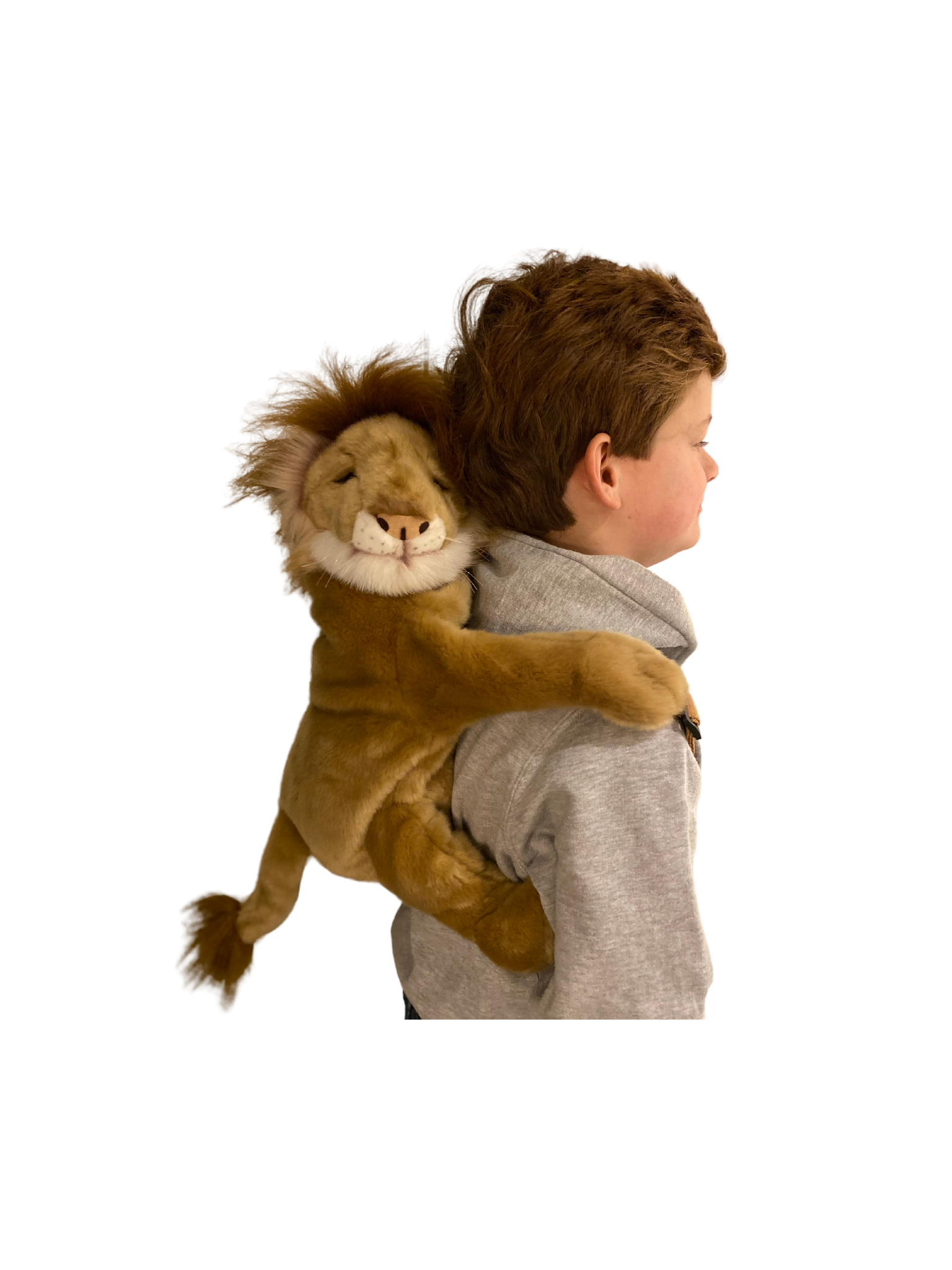 Sırt Çantası, Aslan