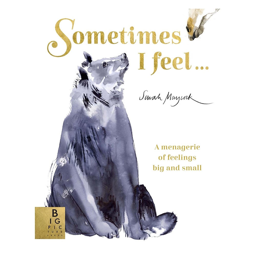 SOMETIMES I FEEL… Çocuk Kitapları Uzmanı - Children's Books Expert