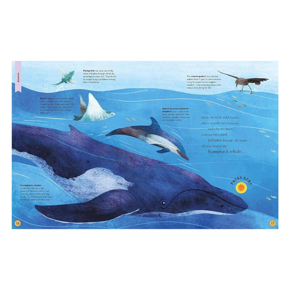 Sounds of the Wild Çocuk Kitapları Uzmanı - Children's Books Expert