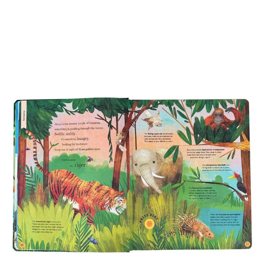 Sounds of the Wild Çocuk Kitapları Uzmanı - Children's Books Expert