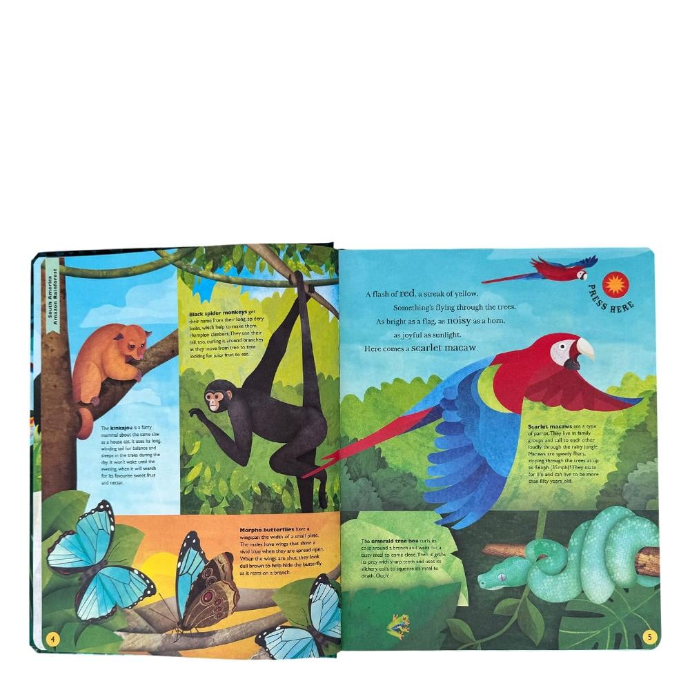 Sounds of the Wild Çocuk Kitapları Uzmanı - Children's Books Expert