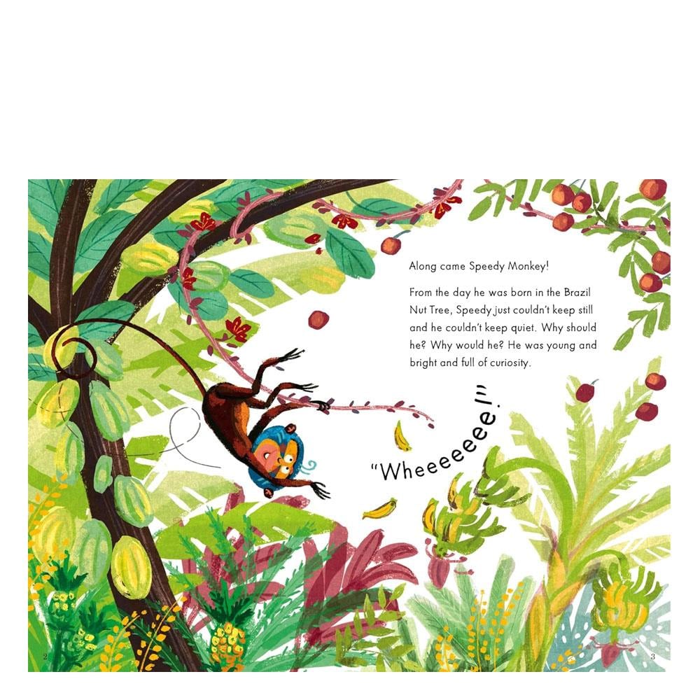 Speedy Monkey - Colour Fiction Çocuk Kitapları Uzmanı - Children's Books Expert