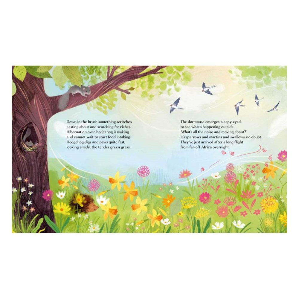 Spring Çocuk Kitapları Uzmanı - Children's Books Expert