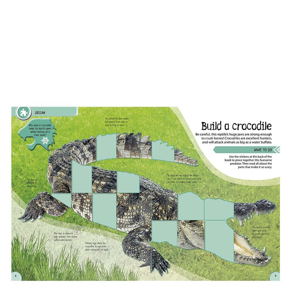 STICKER ACTIVITY DEADLY ANIMALS Çocuk Kitapları Uzmanı - Children's Books Expert