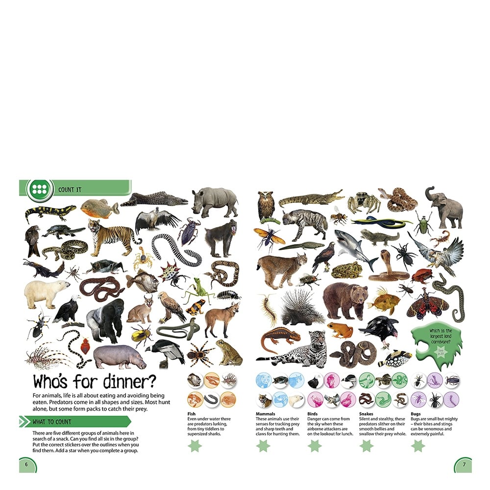 STICKER ACTIVITY DEADLY ANIMALS Çocuk Kitapları Uzmanı - Children's Books Expert