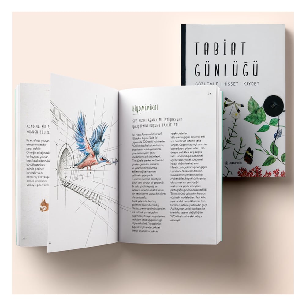 TABİAT GÜNLÜĞÜ Çocuk Kitapları Uzmanı - Children's Books Expert
