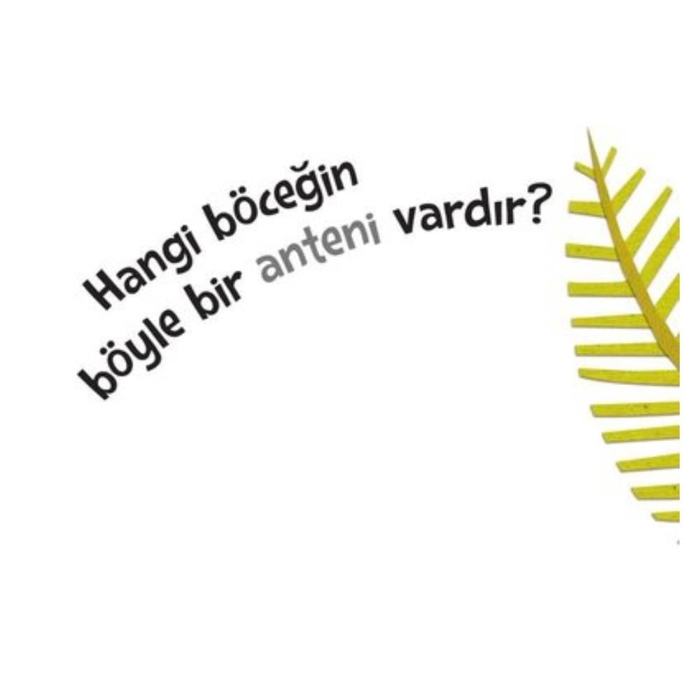 TEPEDEN KUYRUĞA BÖCEKLER Çocuk Kitapları Uzmanı - Children's Books Expert