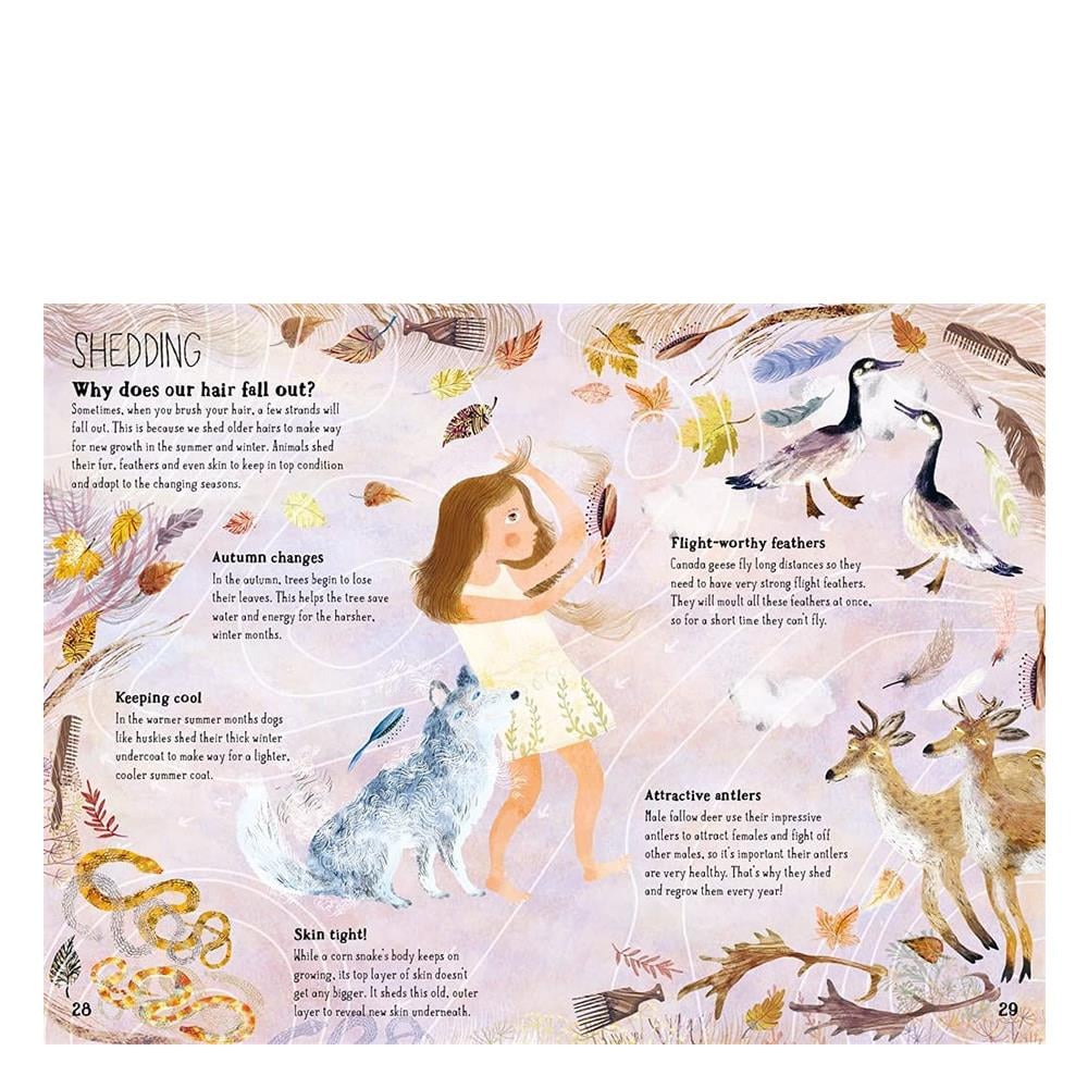 The Big Book of Belonging Çocuk Kitapları Uzmanı - Children's Books Expert