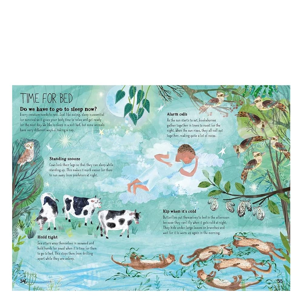 The Big Book of Belonging Çocuk Kitapları Uzmanı - Children's Books Expert