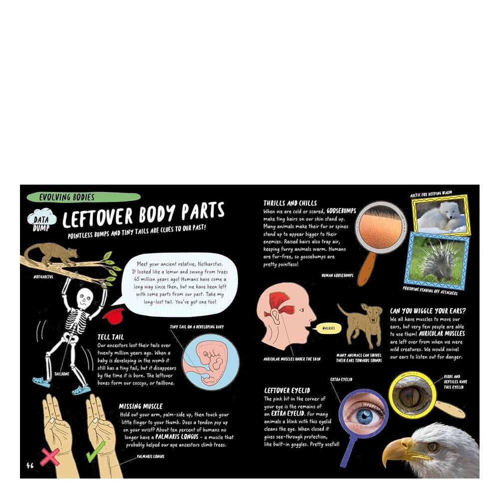 The Brilliant Book of the Body Çocuk Kitapları Uzmanı - Children's Books Expert