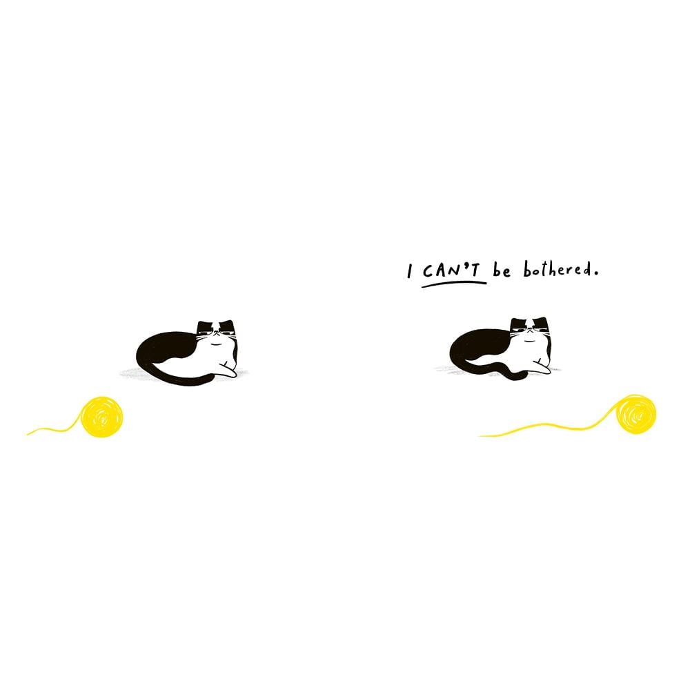 The Cat Who Couldnt Be Bothered Çocuk Kitapları Uzmanı - Children's Books Expert