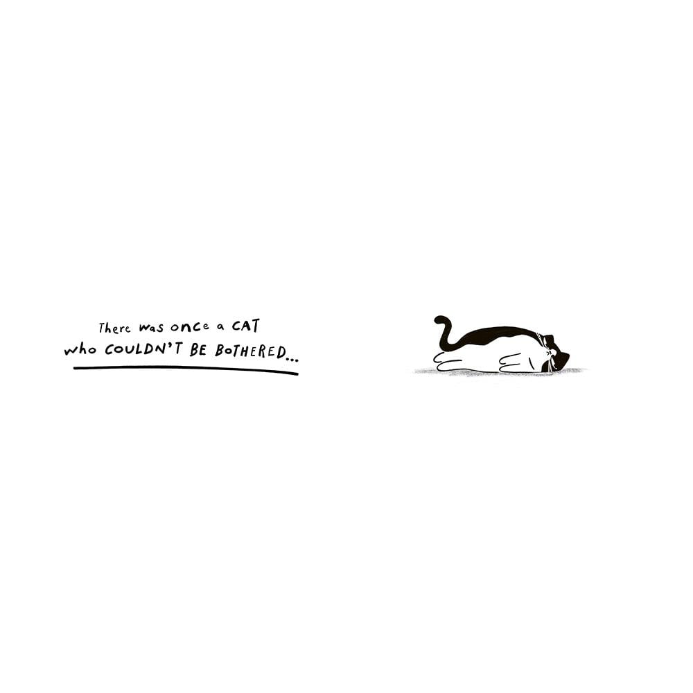 The Cat Who Couldnt Be Bothered Çocuk Kitapları Uzmanı - Children's Books Expert