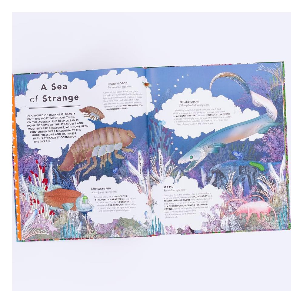 The Fantastical Safari Çocuk Kitapları Uzmanı - Children's Books Expert