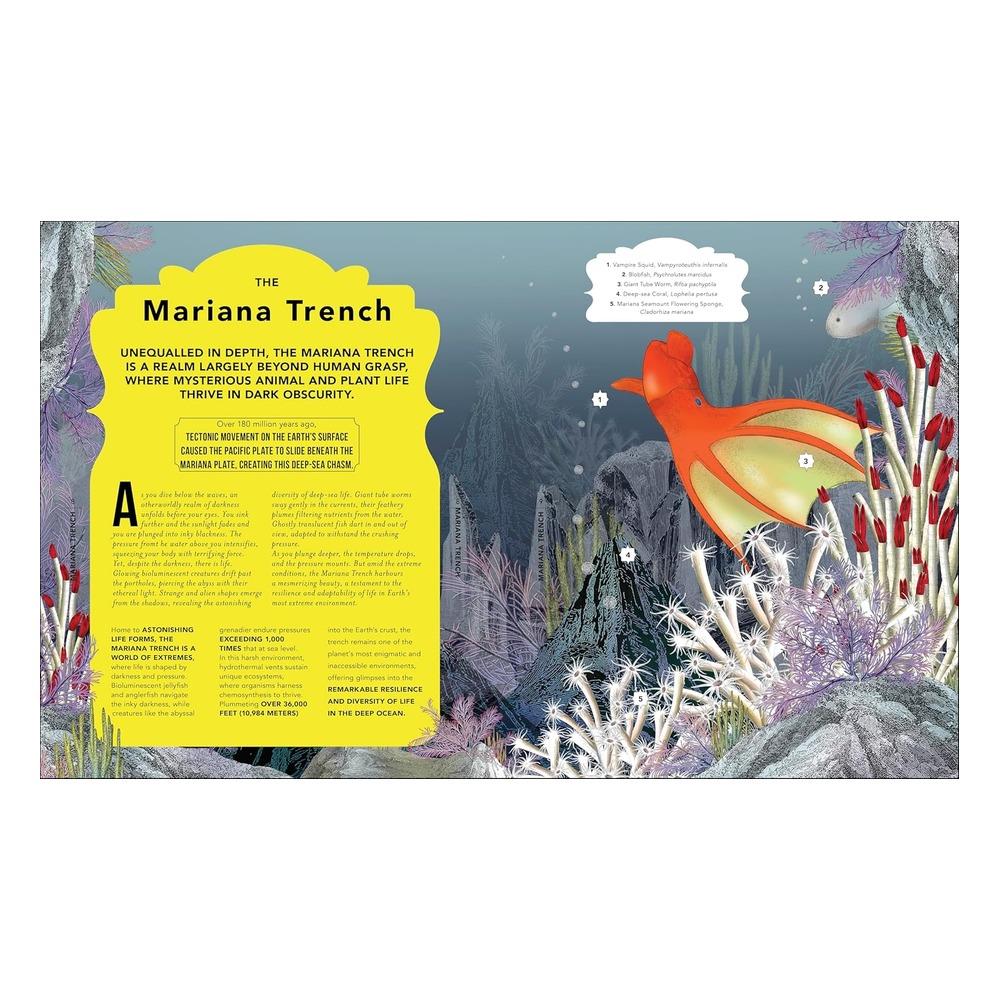 The Fantastical Safari Çocuk Kitapları Uzmanı - Children's Books Expert