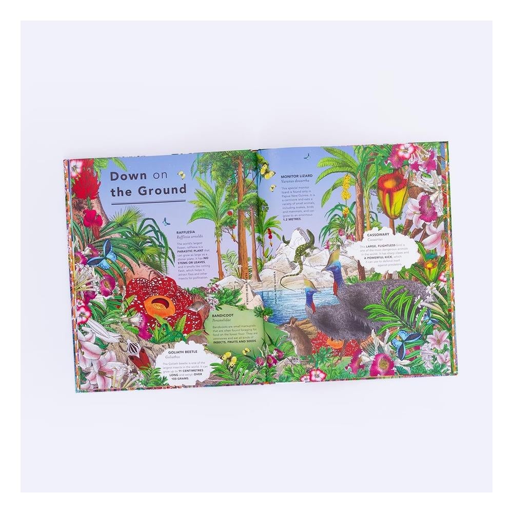 The Fantastical Safari Çocuk Kitapları Uzmanı - Children's Books Expert