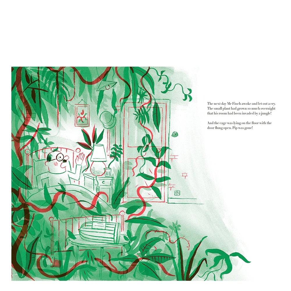 THE FLIGHT OF MR FINCH Çocuk Kitapları Uzmanı - Children's Books Expert