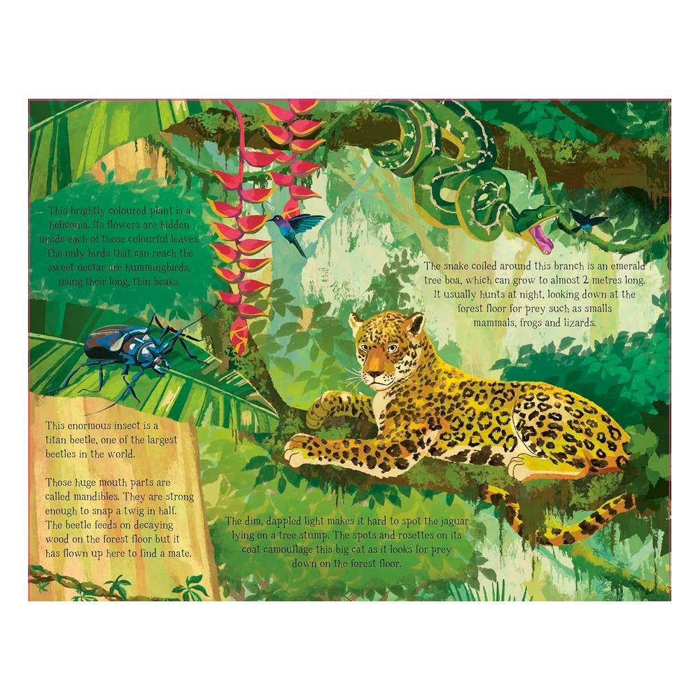 The Forest That Grows Around Me Çocuk Kitapları Uzmanı - Children's Books Expert