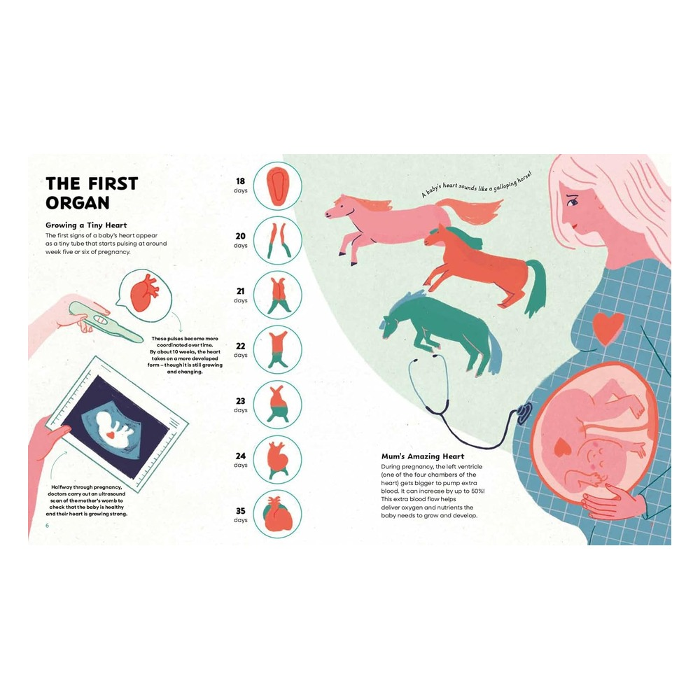 The Heart - History, Science and Lots of Love Çocuk Kitapları Uzmanı - Children's Books Expert