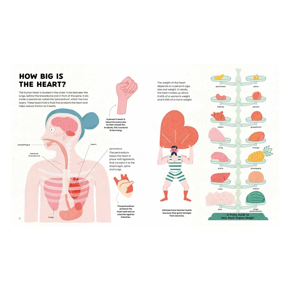 The Heart - History, Science and Lots of Love Çocuk Kitapları Uzmanı - Children's Books Expert