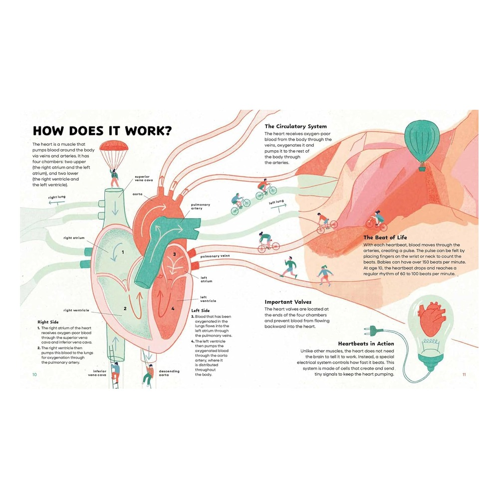 The Heart - History, Science and Lots of Love Çocuk Kitapları Uzmanı - Children's Books Expert