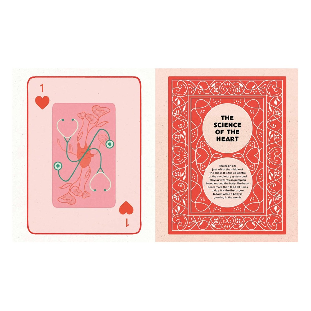 The Heart - History, Science and Lots of Love Çocuk Kitapları Uzmanı - Children's Books Expert