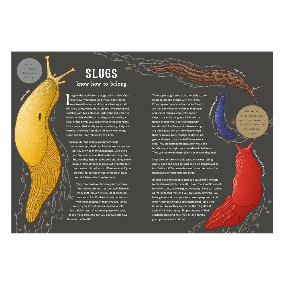 The Hidden Wisdom of Animals Çocuk Kitapları Uzmanı - Children's Books Expert