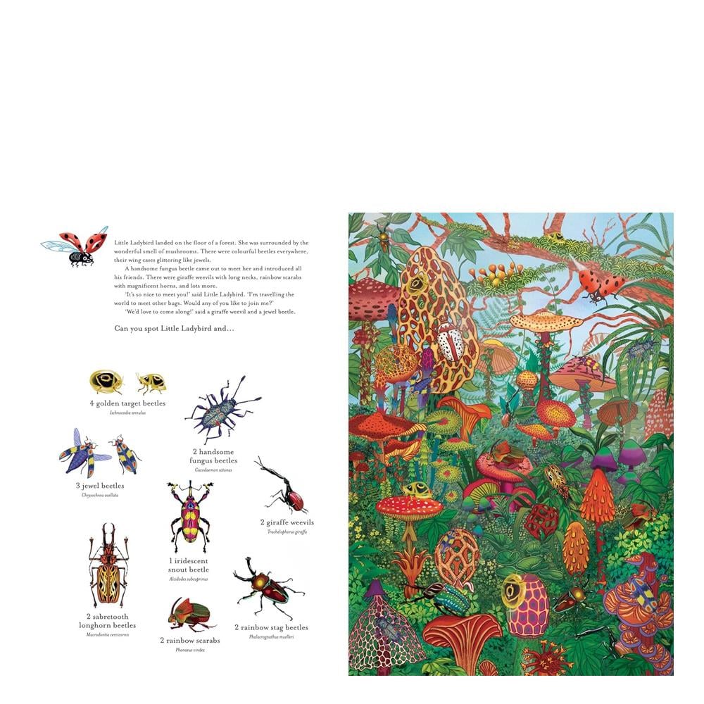 The Incredible 3D Bug Hunt Çocuk Kitapları Uzmanı - Children's Books Expert