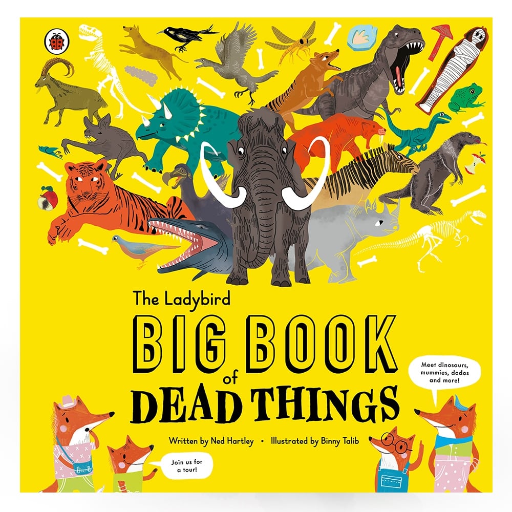 THE LADYBIRD BIG BOOK OF DEAD THINGS Çocuk Kitapları Uzmanı - Children's Books Expert