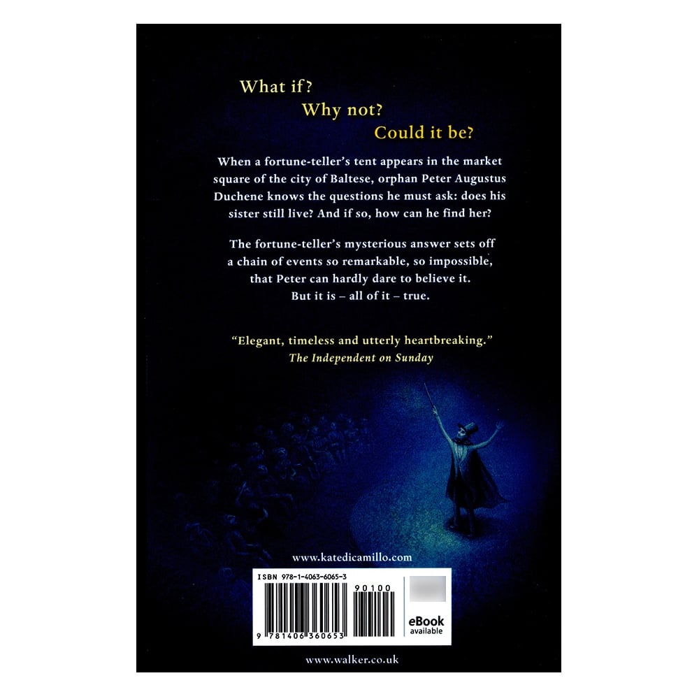 THE MAGICIAN'S ELEPHANT #yenigelenler Çocuk Kitapları Uzmanı - Children's Books Expert