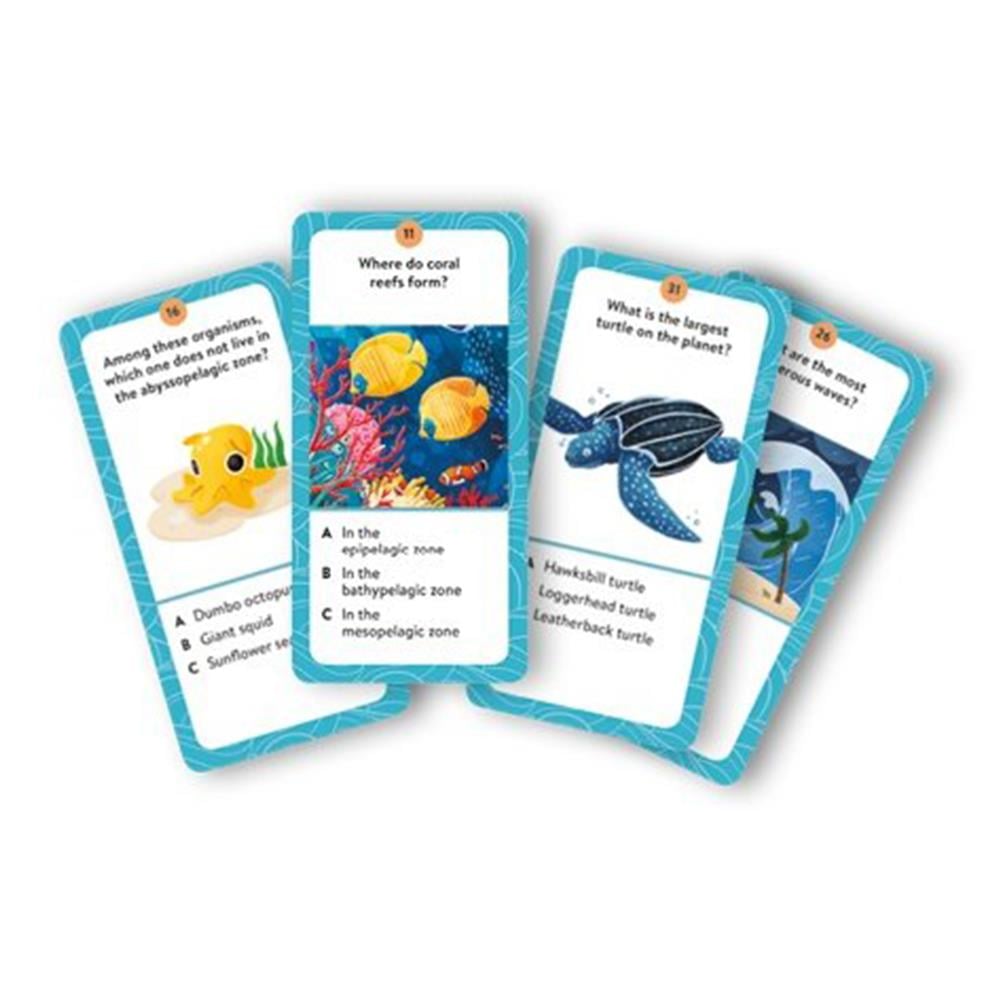 THE SEA - THE ULTIMATE ATLAS Çocuk Kitapları Uzmanı - Children's Books Expert