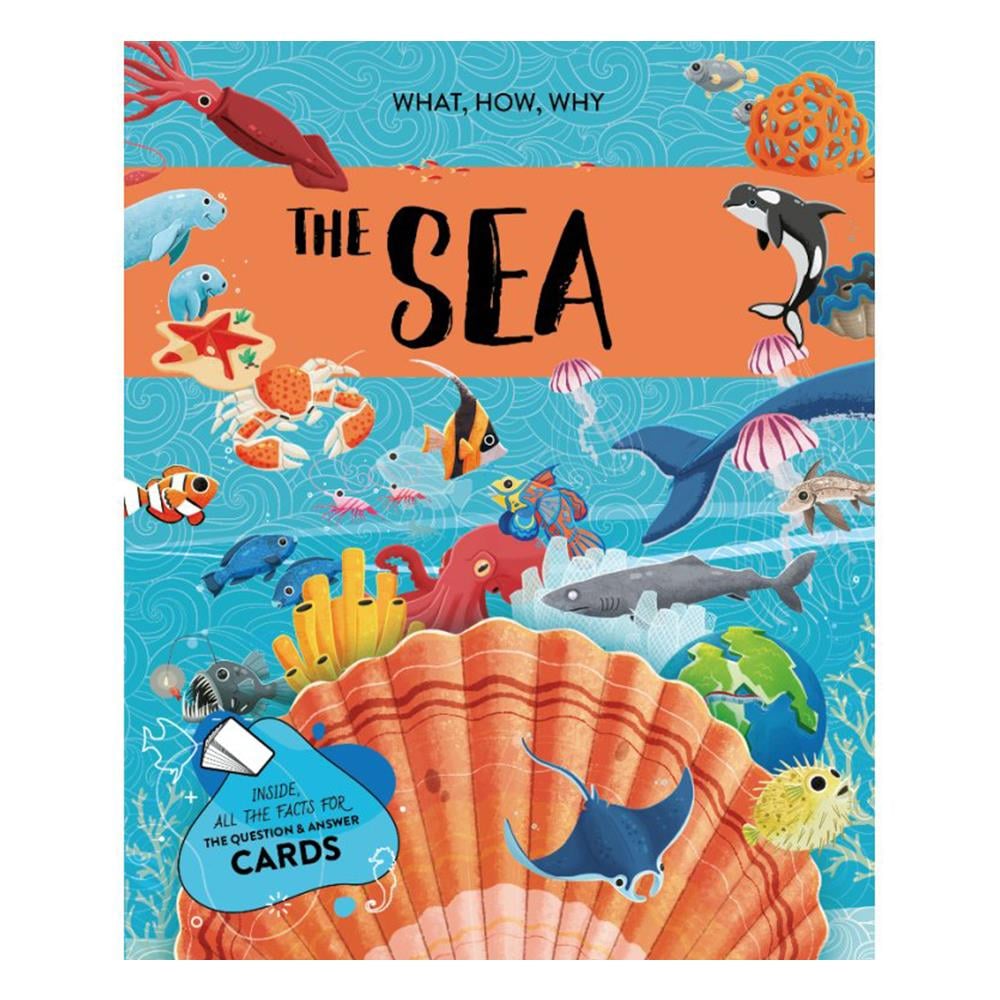 THE SEA - THE ULTIMATE ATLAS Çocuk Kitapları Uzmanı - Children's Books Expert