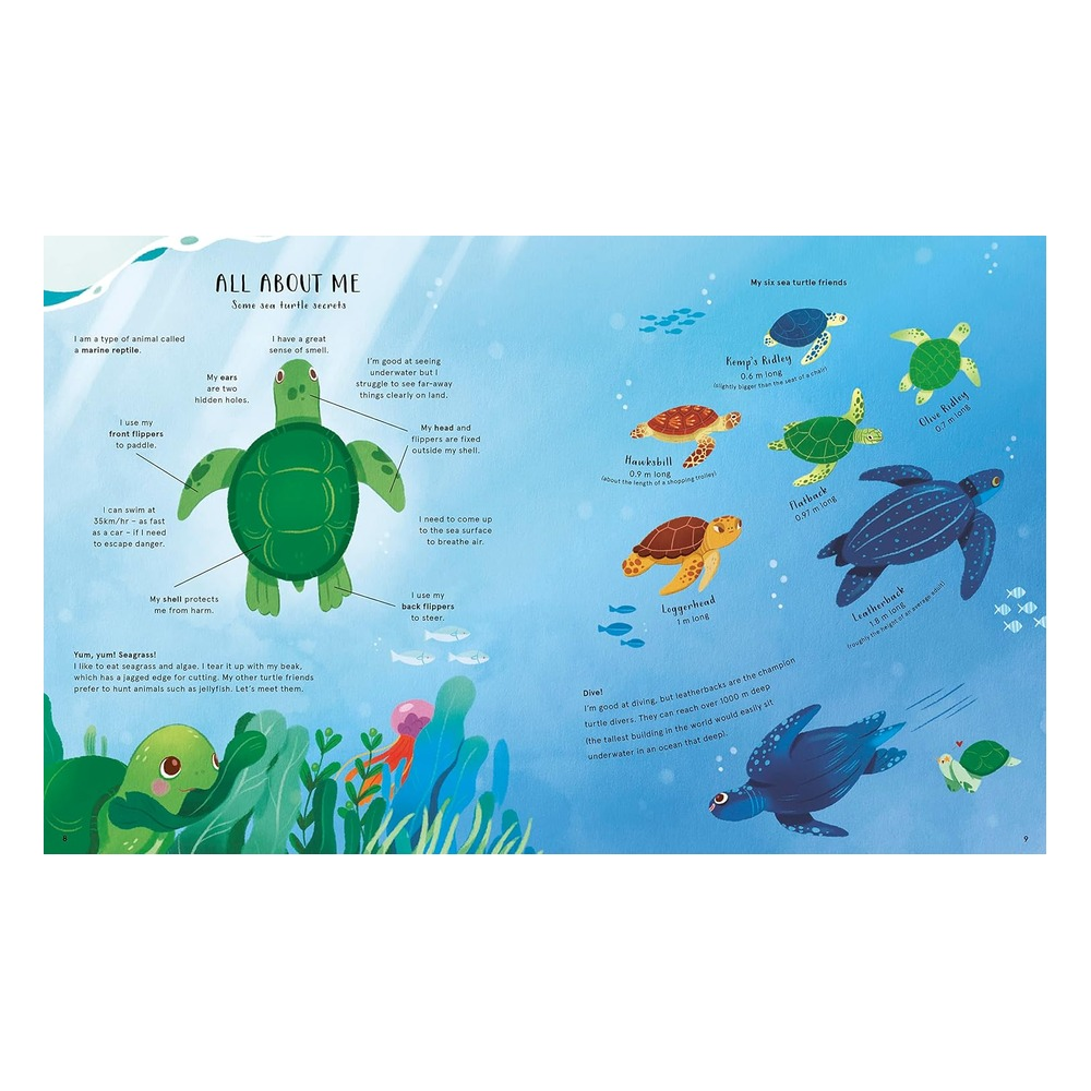 The Secret Life of Oceans Çocuk Kitapları Uzmanı - Children's Books Expert