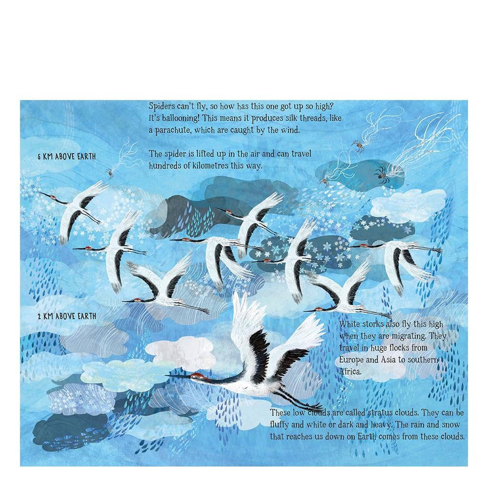 The Skies Above My Eyes Çocuk Kitapları Uzmanı - Children's Books Expert