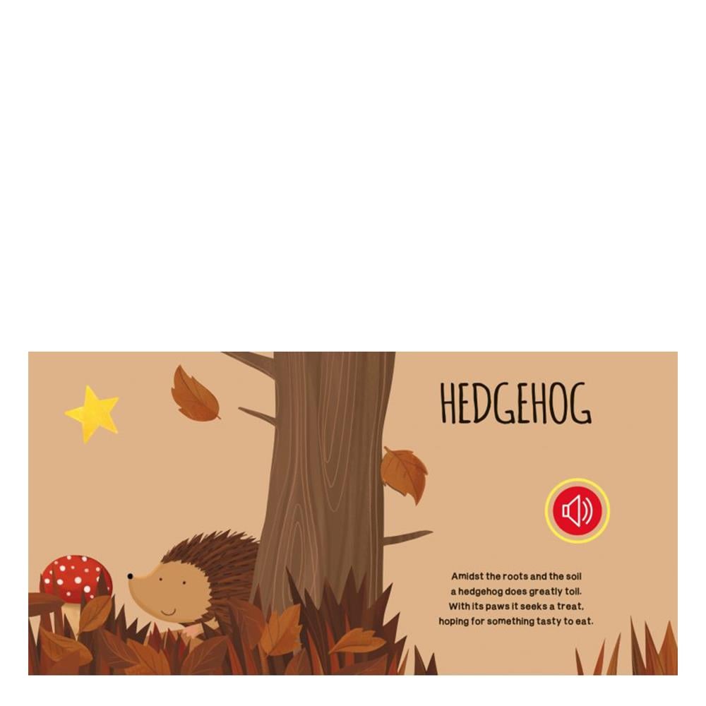 THE WOOD - SOUND BOOK Çocuk Kitapları Uzmanı - Children's Books Expert