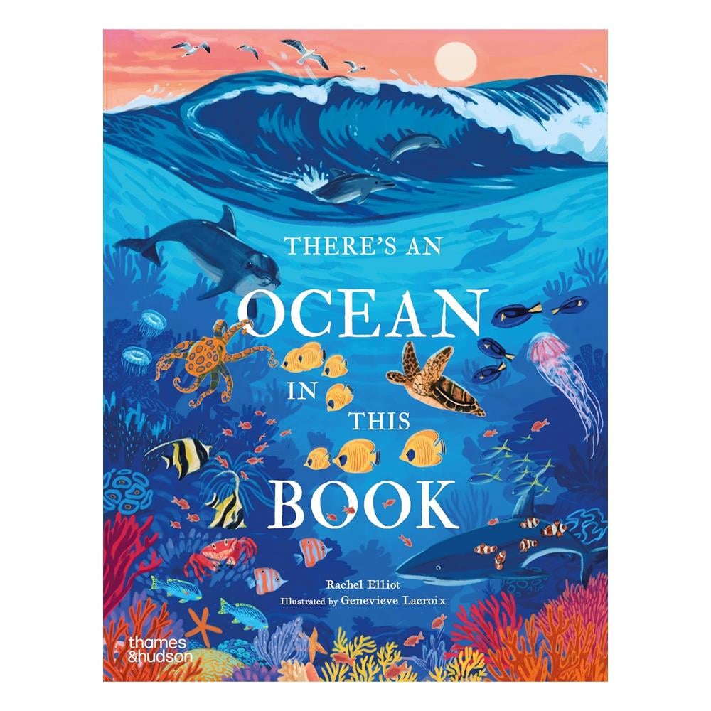There s an Ocean in This Book Çocuk Kitapları Uzmanı - Children's Books Expert