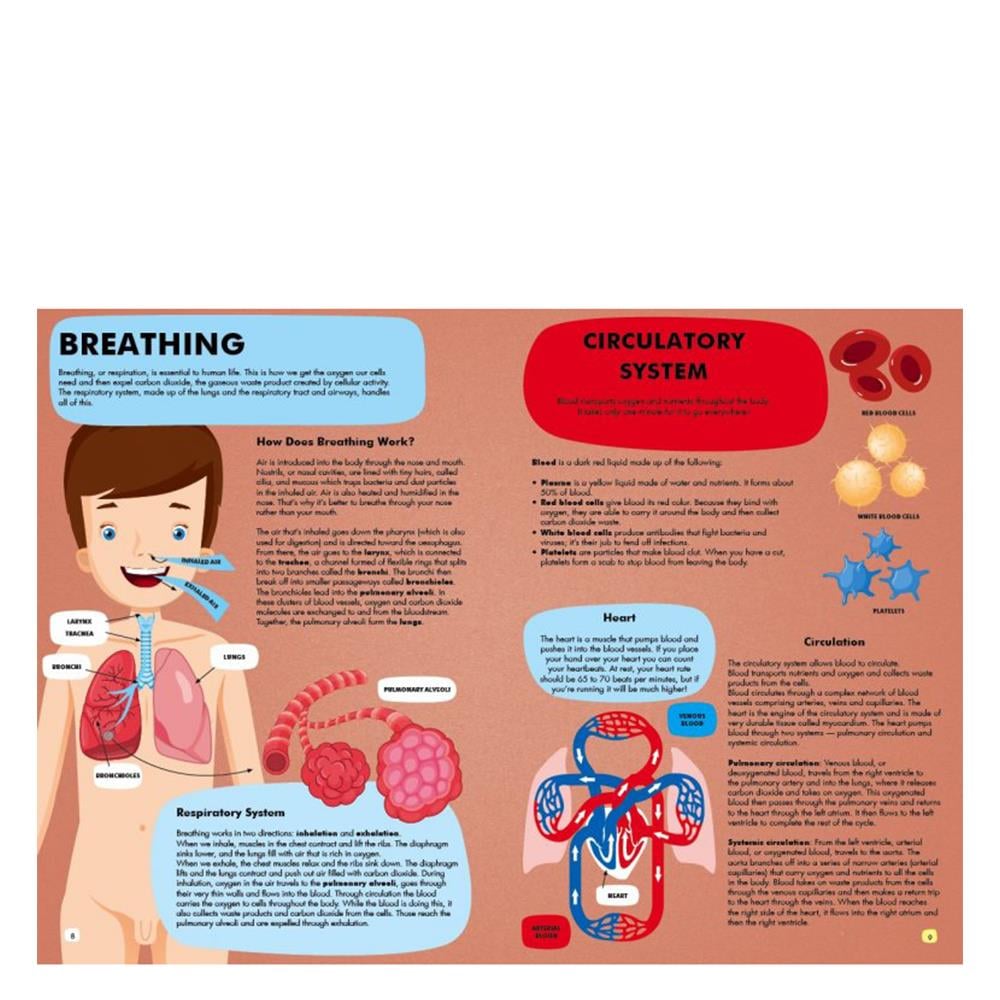 TRAVEL, LEARN AND EXPLORE - THE HUMAN BODY Çocuk Kitapları Uzmanı - Children's Books Expert