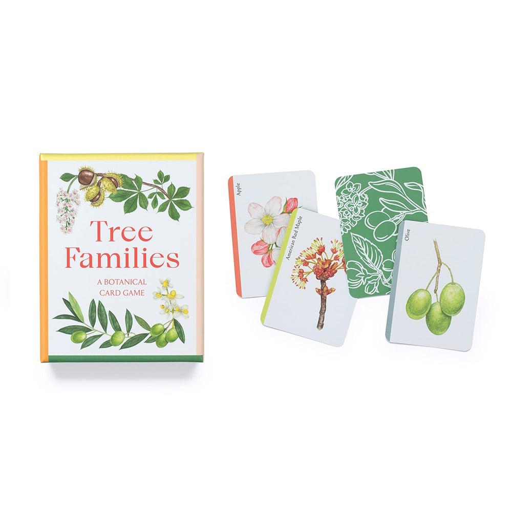 TREE FAMILIES (CARDS) Çocuk Kitapları Uzmanı - Children's Books Expert