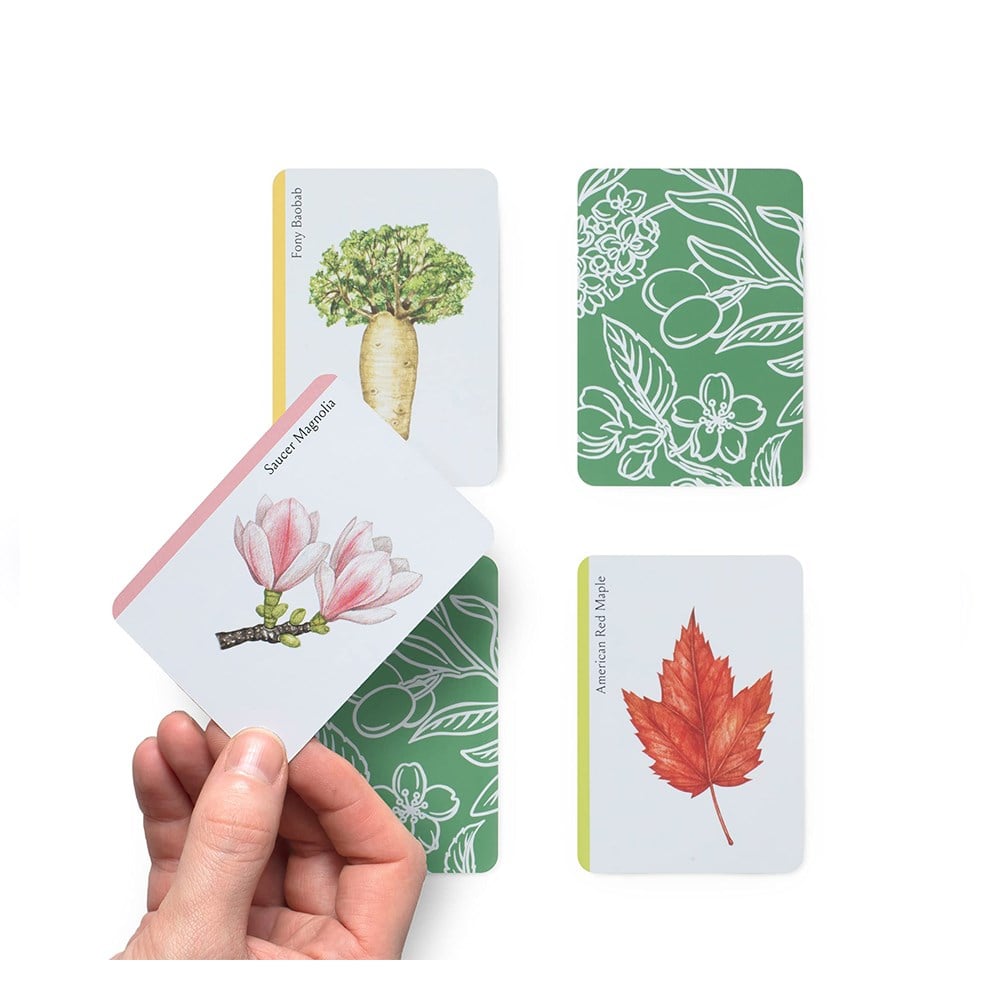 TREE FAMILIES (CARDS) Çocuk Kitapları Uzmanı - Children's Books Expert