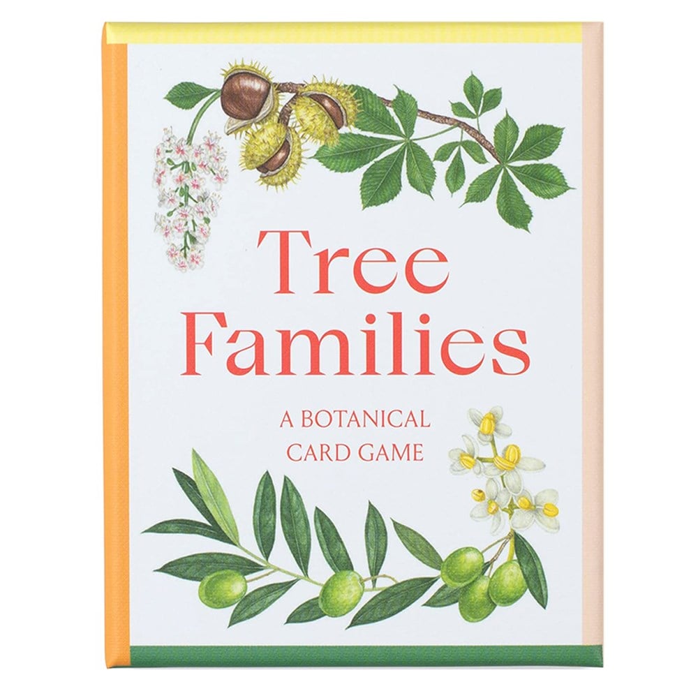 TREE FAMILIES (CARDS) Çocuk Kitapları Uzmanı - Children's Books Expert