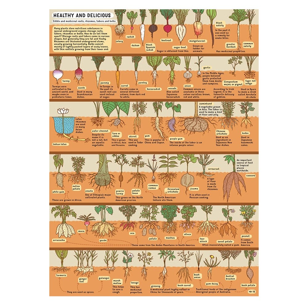 UNDER EARTH - UNDER WATER Çocuk Kitapları Uzmanı - Children's Books Expert