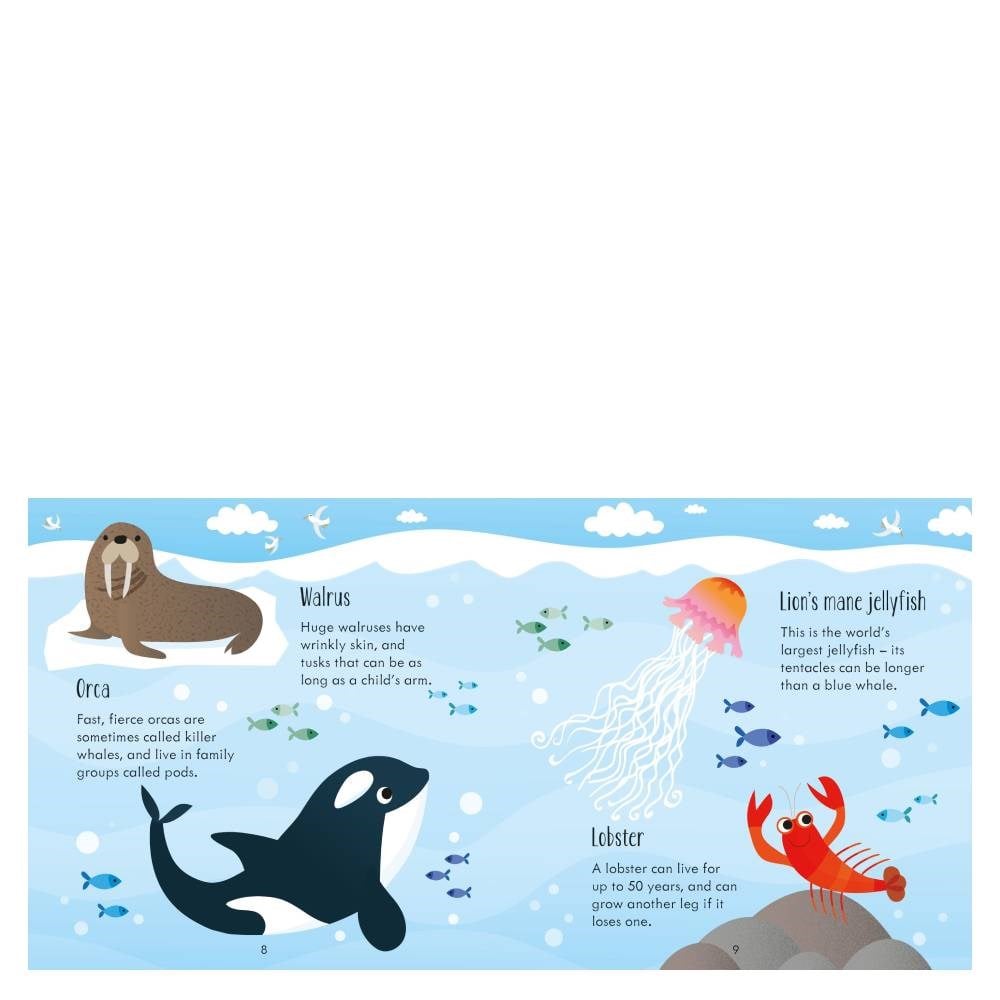 UNDER THE SEA MATCHING GAMES Çocuk Kitapları Uzmanı - Children's Books Expert